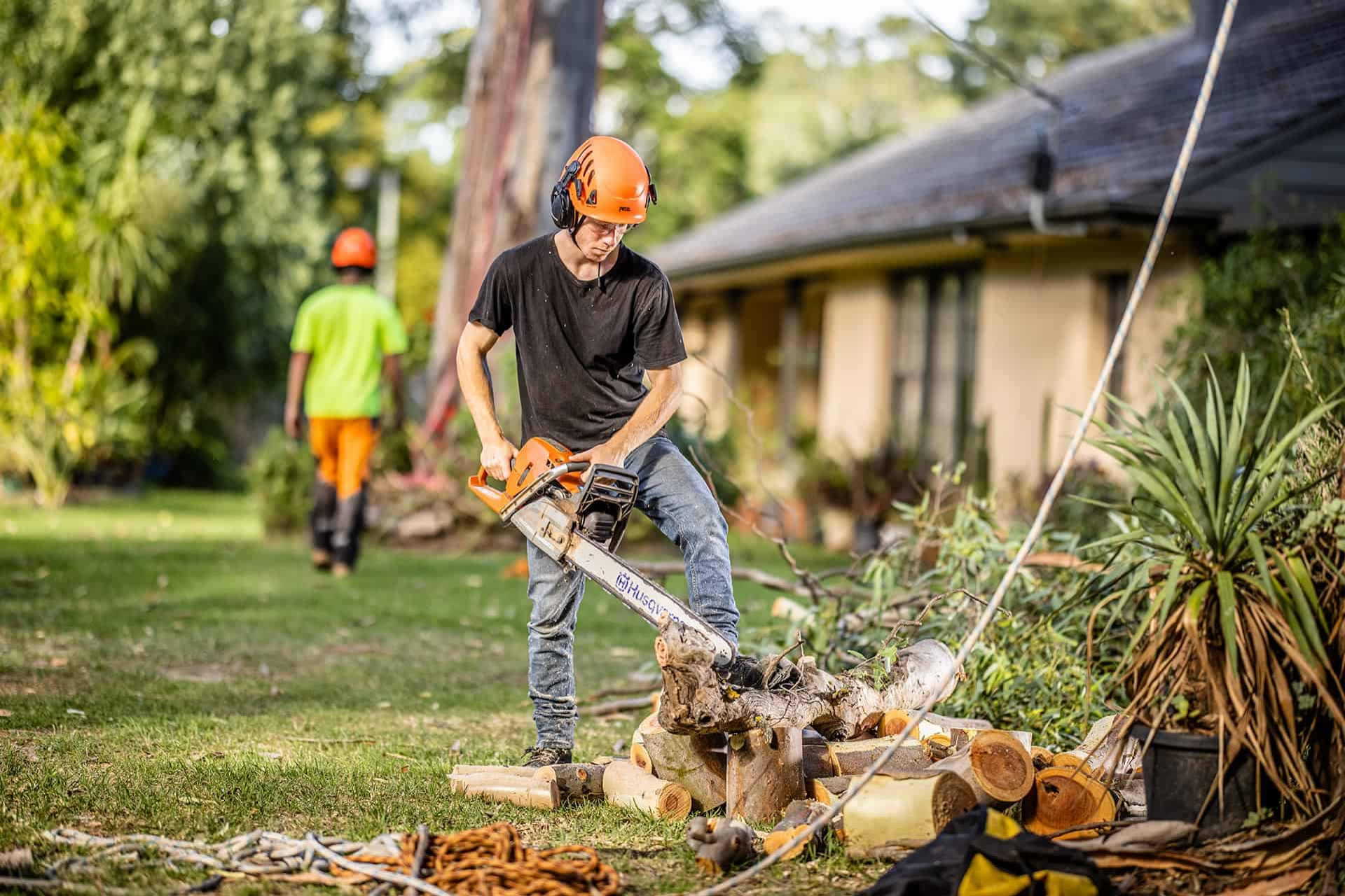 Elevating Pretoria's Green Canopy: The Art of Tree Felling Services