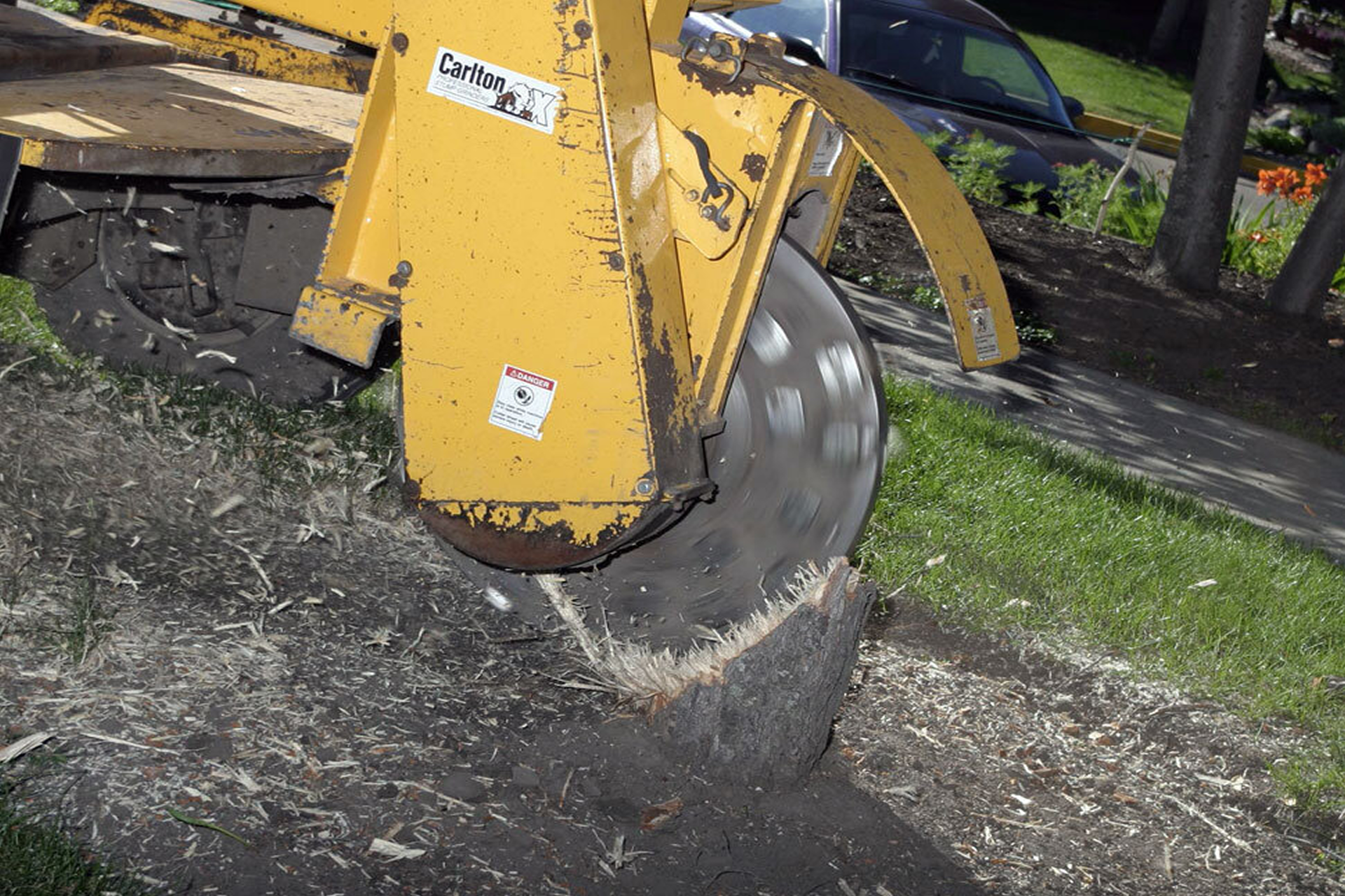 Rooted in Excellence: Stump Grinding Services Transforming Pretoria's Landscapes